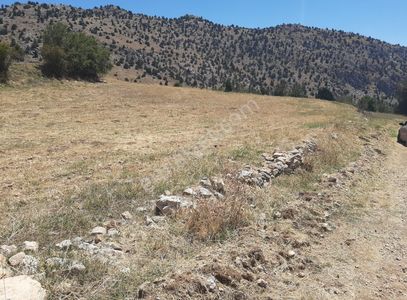 Arsa-Konut İmarlı