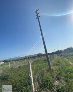 Arsa-Tarla