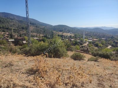 Arsa-Zeytinlik