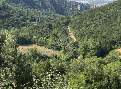 Arsa-Tarla