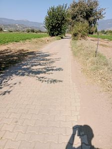 Arsa-Tarla