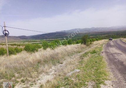 Arsa-Bağ & Bahçe