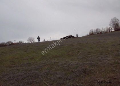Arsa-Tarla