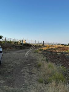 Arsa-Tarla