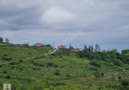 Arsa-Tarla