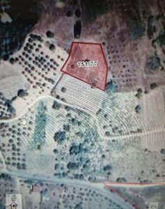 Arsa-Tarla