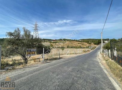 Arsa-Tarla