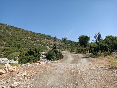 Arsa-Tarla
