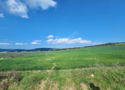 Arsa-Tarla
