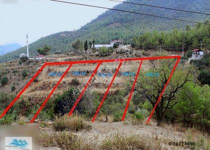 Arsa-Konut İmarlı