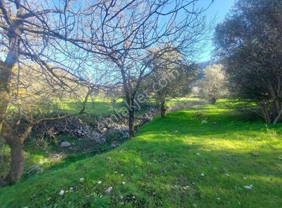 Arsa-Tarla