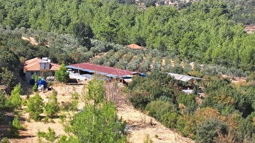 Konut-Çiftlik Evi