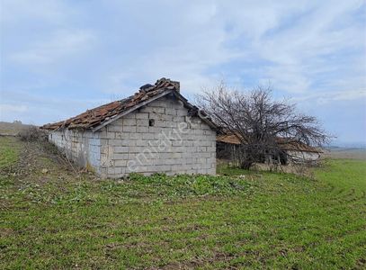 Arsa-Tarla