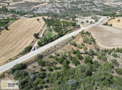 Arsa-Tarla