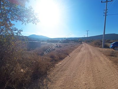 Arsa-Tarla