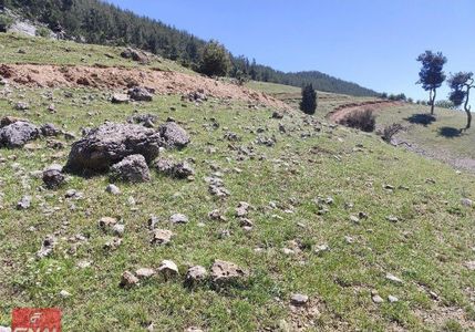 Arsa-Tarla
