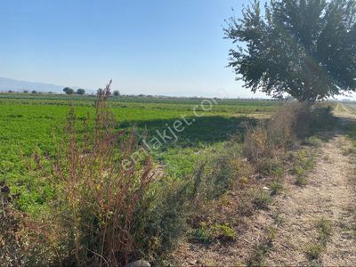 Arsa-Tarla