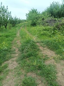 Arsa-Tarla