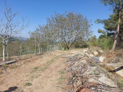 Arsa-Tarla