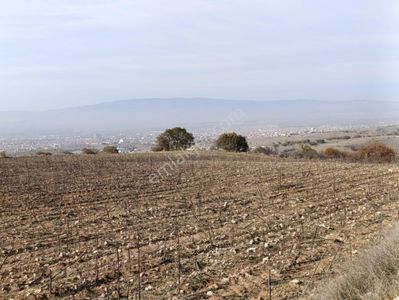 Arsa-Bağ & Bahçe