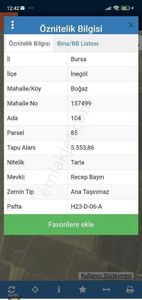 Arsa-Bağ & Bahçe