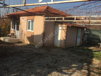 Arsa-Bağ & Bahçe