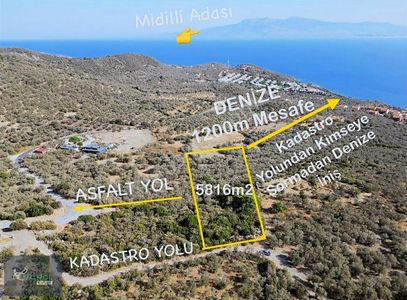 Arsa-Zeytinlik