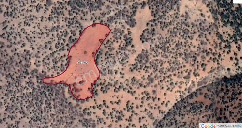 Arsa-Tarla