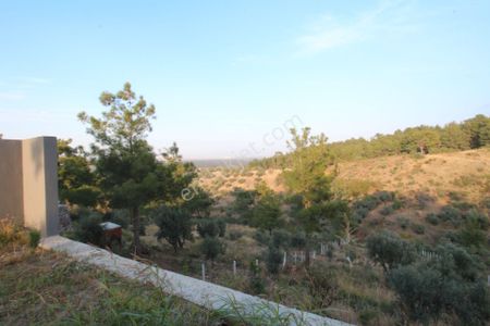 Arsa-Bağ & Bahçe