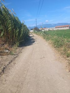 Balıkesir Burhaniye Çoruk Mahallesinde Buse Emlaktan Yatırımlık Tarla