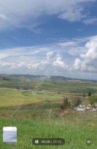 Arsa-Tarla