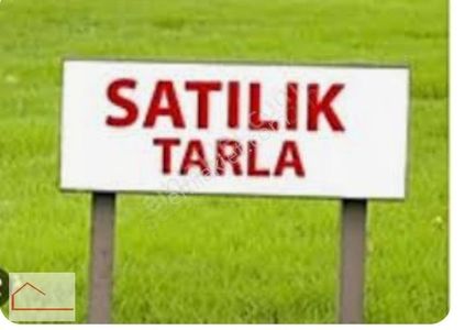 Arsa-Tarla