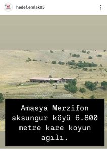 Arsa-Tarla