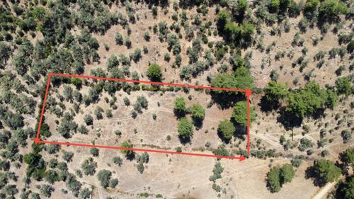 Pınarlıbelen'de Doğanın Merkezinde Satılık Tarla