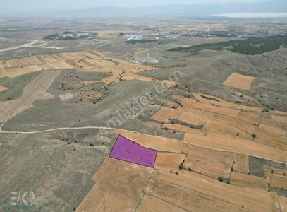Arsa-Tarla
