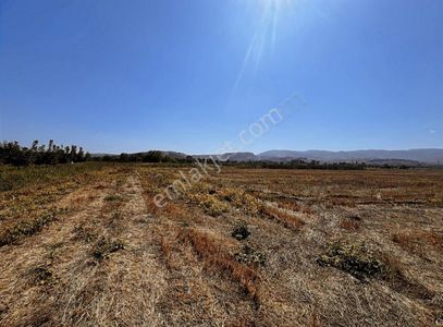 Arsa-Bağ & Bahçe