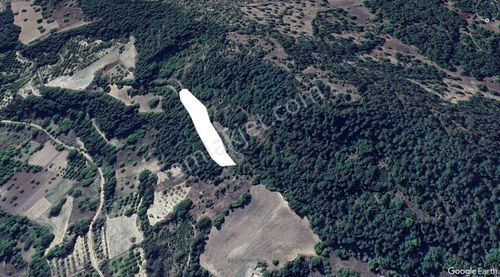 Arsa-Tarla