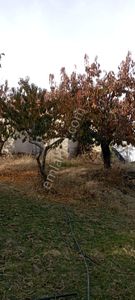 Arsa-Bağ & Bahçe