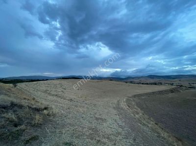 Arsa-Tarla