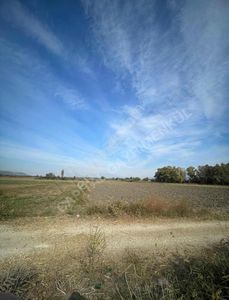Arsa-Tarla
