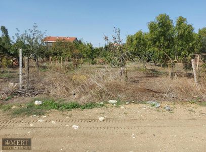 Arsa-Villa İmarlı