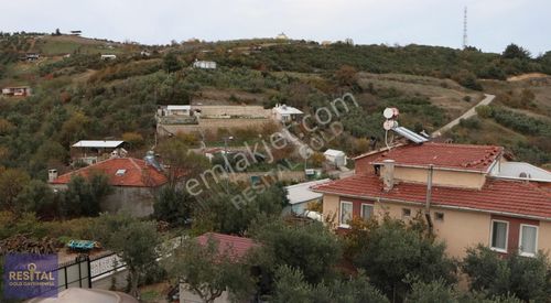 Arsa-Zeytinlik