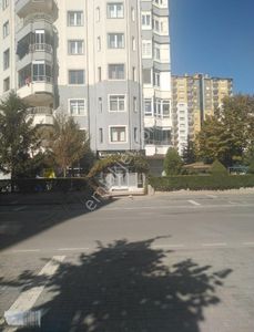 İşyeri-Dükkan & Mağaza