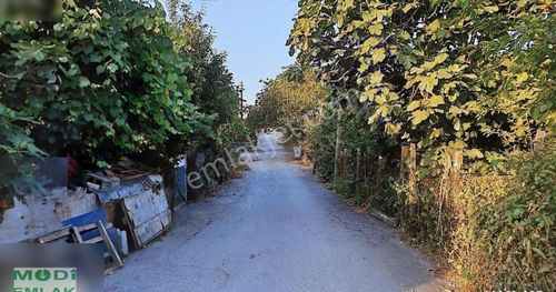 Arsa-Konut İmarlı
