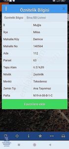 Arsa-Zeytinlik