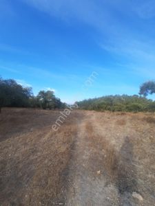 Karacahisar Köyünde Yola Cephe Tarım Arazisi