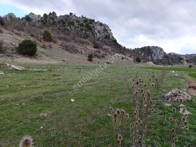 Arsa-Tarla