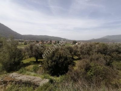 Arsa-Tarla