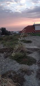 Arsa-Konut İmarlı