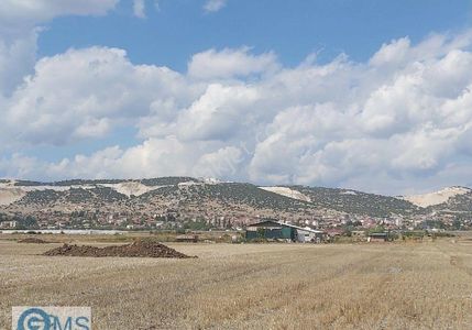 Arsa-Tarla